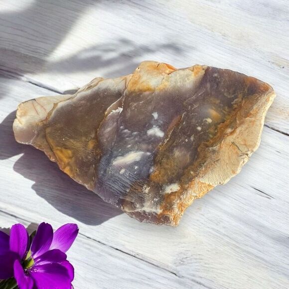 Blue Petrified Wood Freeform Slab (4)‎ - Picture 1 of 10